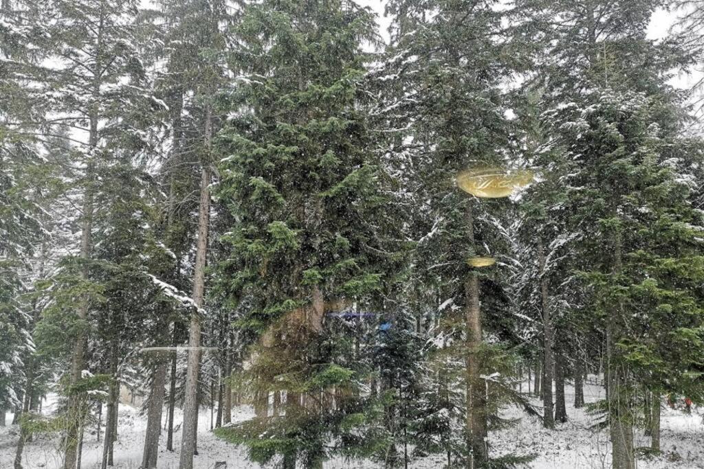 Studio 1 Iceberg Borovets Exterior foto